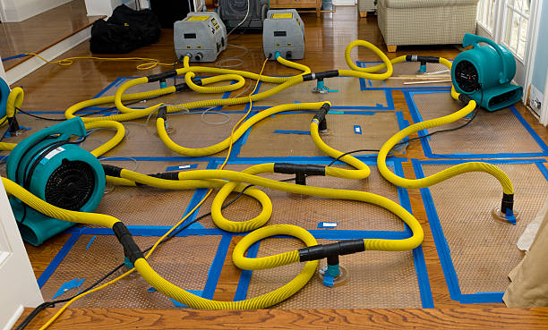 Professional Crawl Space Water Removal technician working in Princeton, ME